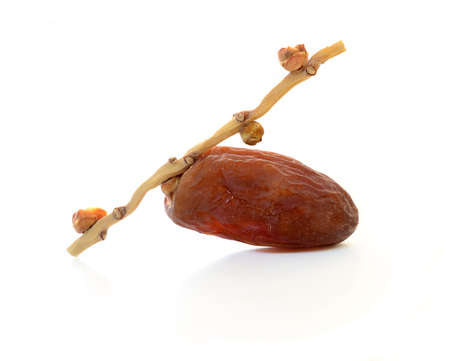 date palm white backgroundの写真素材