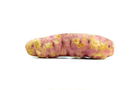 sweet potato on the white の写真素材