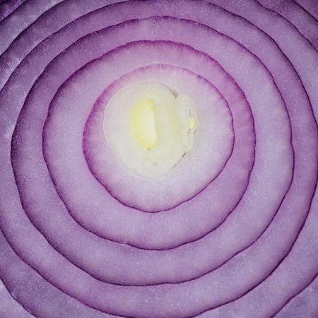 Shallotの写真素材