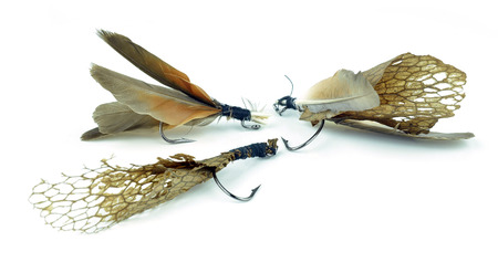 Fly fishing lure isolated on a white の写真素材