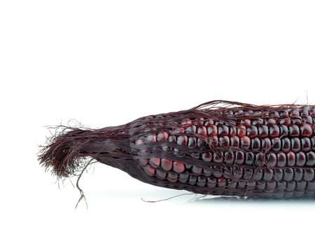 Purple cornの写真素材