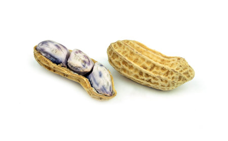 peanut on white