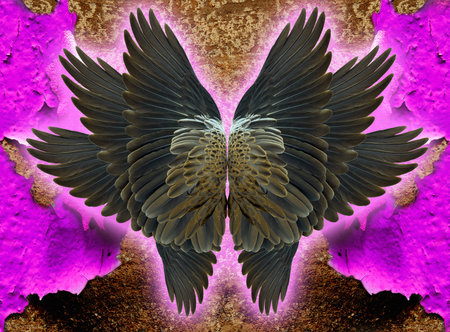  wingsの写真素材