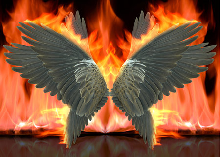 wing and  fireの写真素材