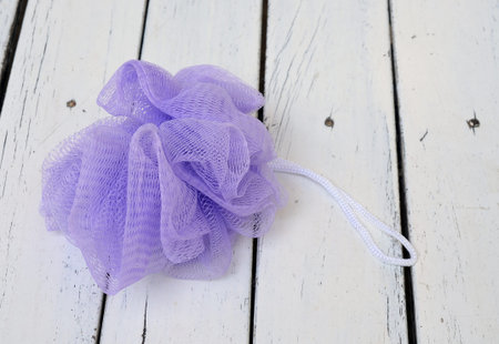 Scrub Sponge