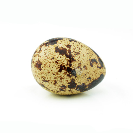 Quail eggsの写真素材