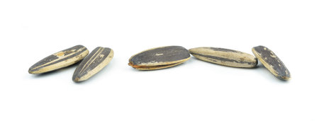 sunflower seeds on white backgroundの写真素材