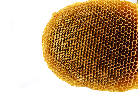 Honeycomb close up on the whiteの写真素材