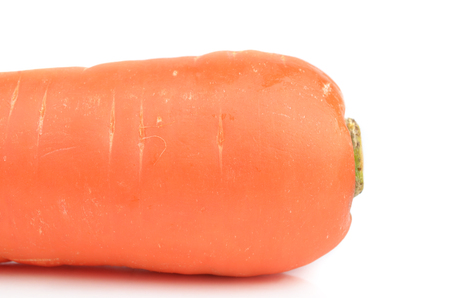 Carrotの写真素材