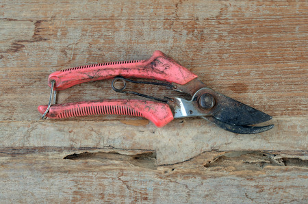 used prunnig shears on the old wooden tableの写真素材