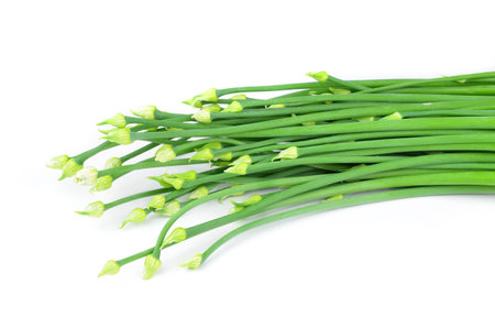 garlic flowers  on white backgroundの写真素材