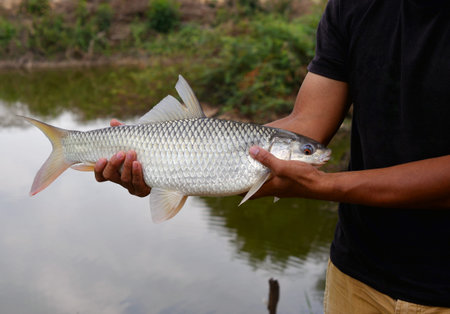Fishingの写真素材