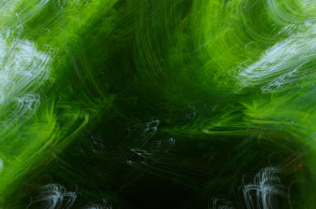 Green light forms on dark の写真素材