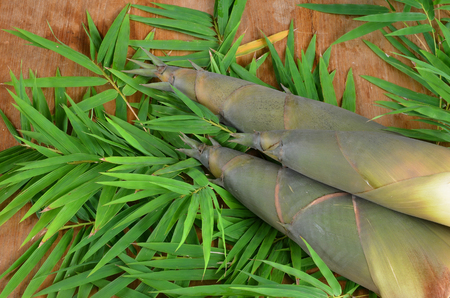 Fresh bamboo shoot on wooden backgroundの写真素材