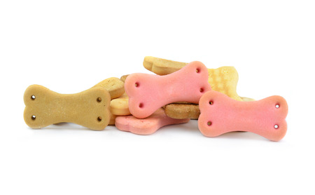 Dog treats isolated on white backgroundの写真素材