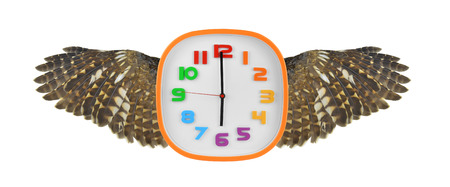 Watch the wings isolated on white background.の写真素材