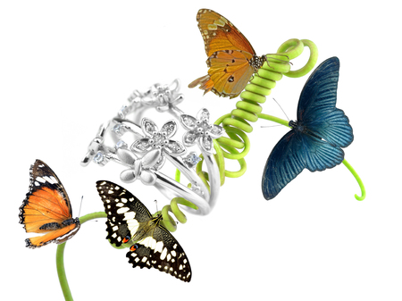 Ring  diamond  a Butterfly isolated on white backgroundrの写真素材