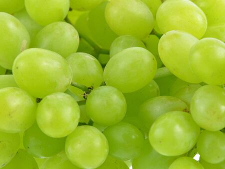 Green grapesの写真素材