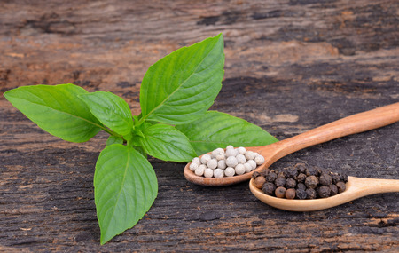 Sweet Basil , White with black pepper on wood spoon,wooden background.の写真素材