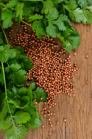 Fresh coriander and dried seedsの写真素材