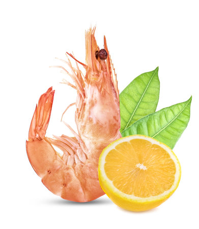 Shrimps and slice of lemon on a white background. Seafoodのeditorial素材