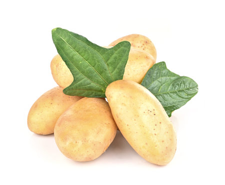 Young potato isolated on white backgroundのeditorial素材