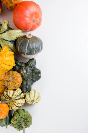 Pumpkin squash on white background