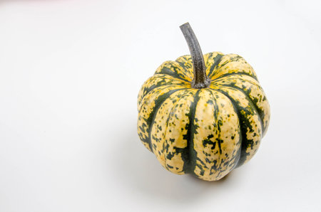Isolated Pumpkin squashの写真素材
