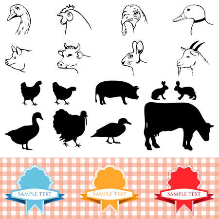 farm animals, vintage frame, labels food illustrationのイラスト素材