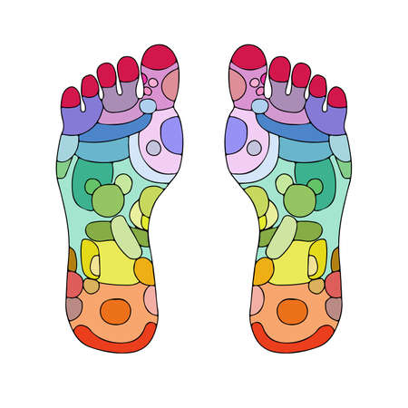 Reflexology foot massage points reflexology zones, massage signs and colored pointsのイラスト素材