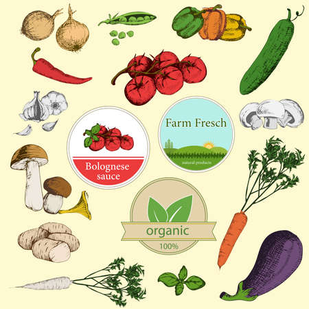 Collection of vegetables and labelsのイラスト素材