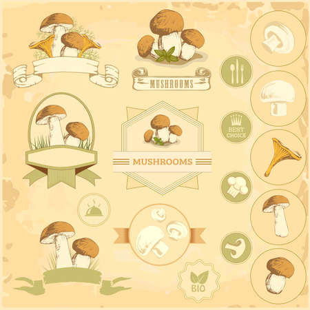 mushrooms, vegetables labels, food product packaging designのイラスト素材