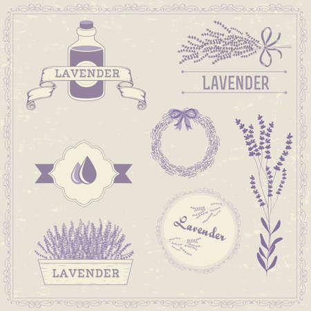 Lavender herb flower, floral vintage backgroundのイラスト素材