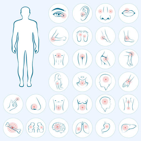 vector human anatomy, body pain, medical illustrationのイラスト素材