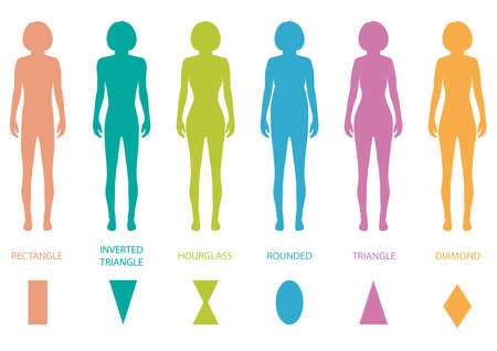 female body types anatomy,woman front figure shape, vector silhouette