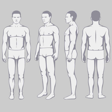 human body anatomy, vector man front back sideのイラスト素材
