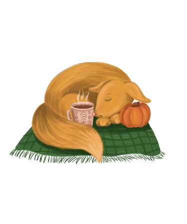 Cartoon character with pumpkin and a cup of tea.Sleeping fox with the cup of chocolate.の写真素材