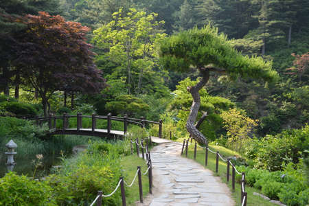 Garden of Morning Calmの写真素材