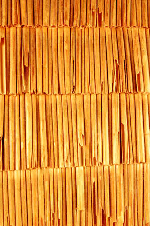 stalks of straw の写真素材