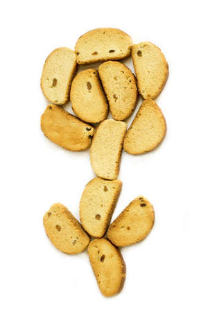 Bread croutonsの写真素材
