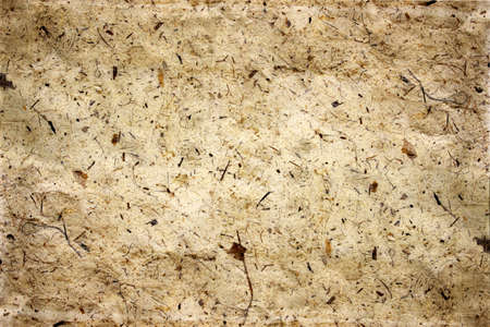 old paper, texture with natural patterns の写真素材