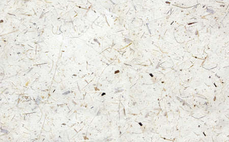 old paper, texture with natural patterns の写真素材