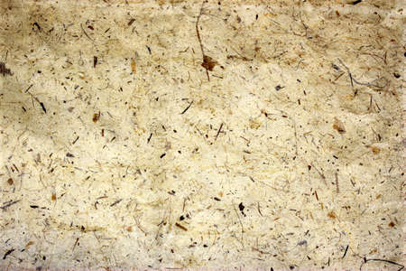 old paper, texture with natural patterns の写真素材