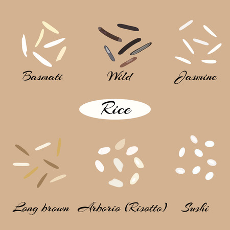 Different types of rice Basmati, wild, jasmine, long brown, arborio, sushi. Macro.のイラスト素材