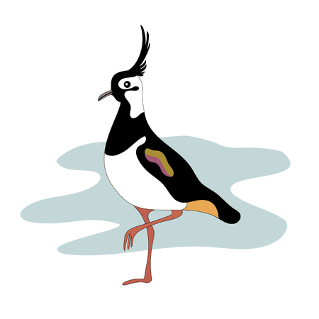 Lapwing bird. Vanellinae. Cartoon image. Vector illustration.のイラスト素材