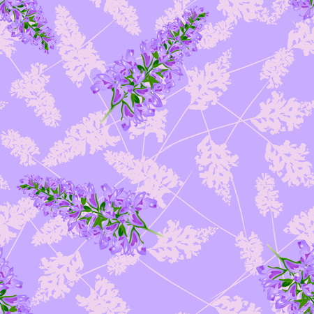 Purple floral seamless pattern. Soft and lovingのイラスト素材