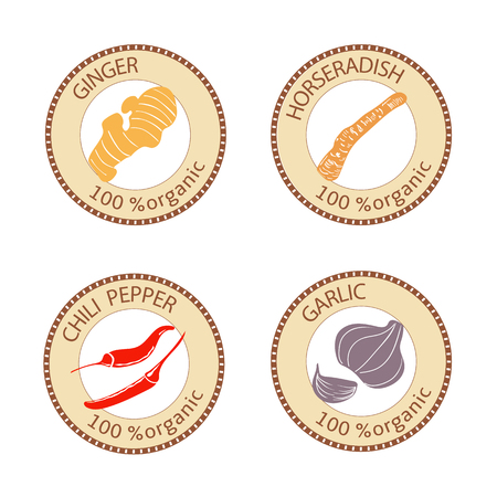 Set of herbs labels. 100 organic. Spice collection. Vector illustration. garlic, Horseradish, ginger, chili pepper Brown stamps flat style Icon collectionのイラスト素材