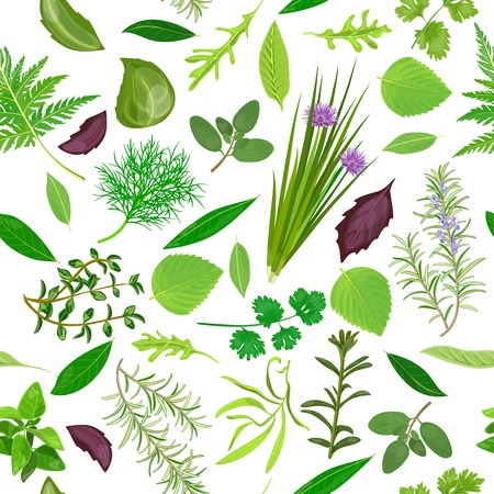 Cooking herbs seamless pattern vector set.のイラスト素材