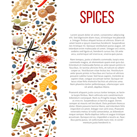 Popular culinary spices set in column with description.のイラスト素材
