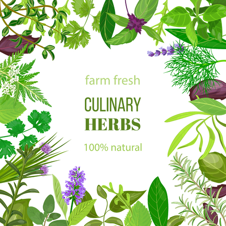 Culinary herbs ornament with text 100% natural.のイラスト素材